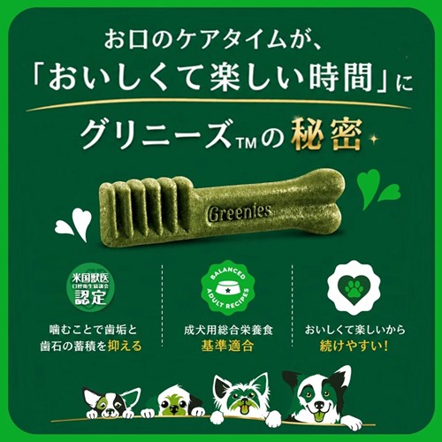 グリニーズプラス 子犬用 歯みがきトレーニングガム 10P
