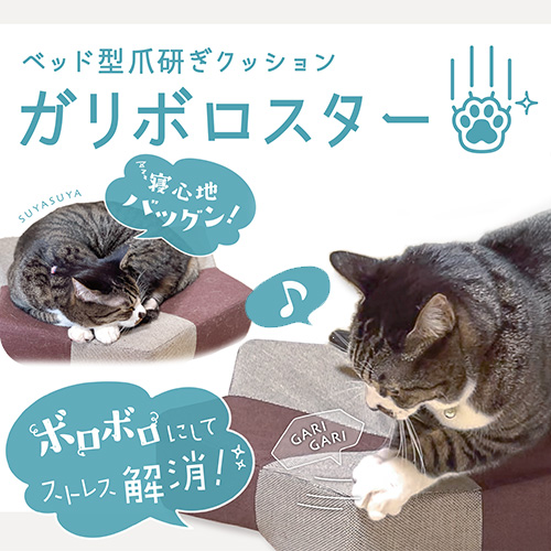 ガリぼろスター ガリぼろスター GBS-01 P