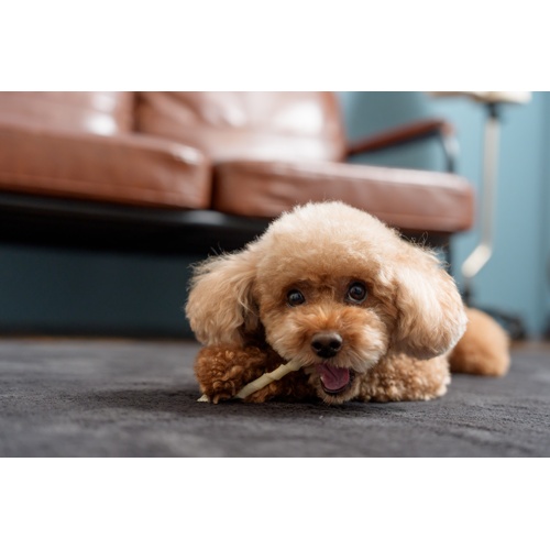 国産牛皮 ロッド