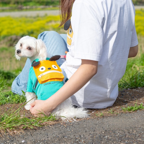 Monsterリュック ターコイズ L