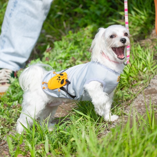 Buddyポーチ シルバー M