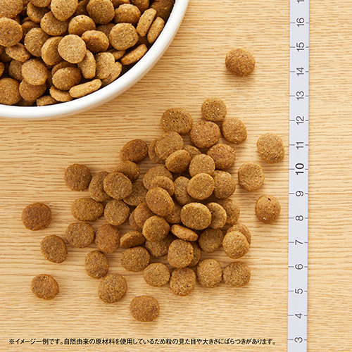 ニュートロ　ナチュラルチョイス　ラム＆玄米　子犬用　全犬種用　１ｋｇ