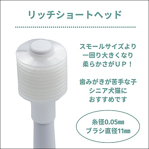 電動歯ブラシ　ＢＯＯＯＯＭプロ　替えブラシ　リッチショートヘッド