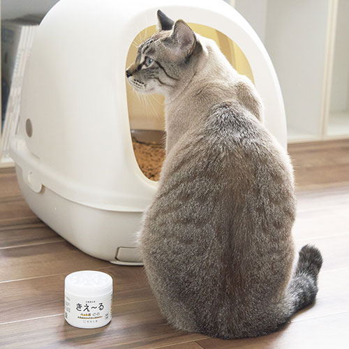 きえーるＤ　ペット用　ゼリー徳用