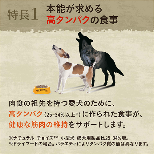 ニュートロ　ワイルドレシピ　超小型犬～小型犬用　成犬用　サーモン　８００ｇ
