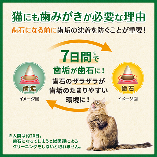 グリニーズ猫用　グリルチキン・西洋マタタビ風味（キャットニップ）　６０ｇ