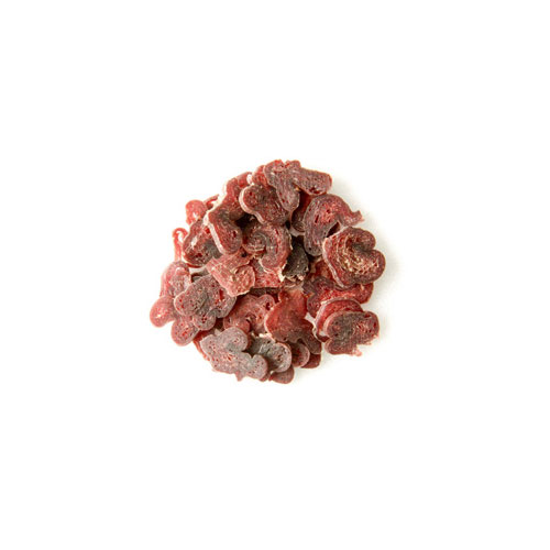 キャットビッツ　しか 20g