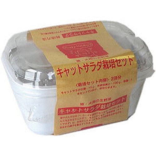 キャットサラダ　栽培セット